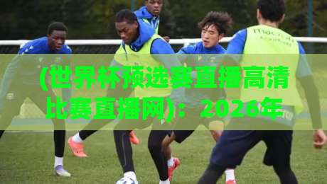 (世界杯预选赛直播高清比赛直播网)：2026年观赛指南，球迷必看的终极攻略