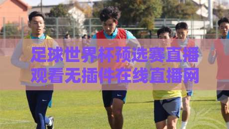 足球世界杯预选赛直播观看无插件在线直播网：2026终极观赛指南+实测避坑心得