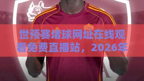 世预赛堵球网址在线观看免费直播站,2026年球迷必知的观赛渠道 世预赛堵球网址在线观看免费直播站,2026年球迷必知的观赛渠道