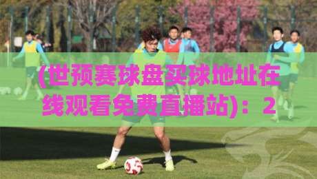 (世预赛球盘买球地址在线观看免费直播站)：2026世预赛免费观赛与盘口解析全攻略