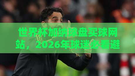 世界杯加纳球盘买球网站,2026年球迷必看避坑指南 世界杯加纳球盘买球网站,2026年球迷必看避坑指南