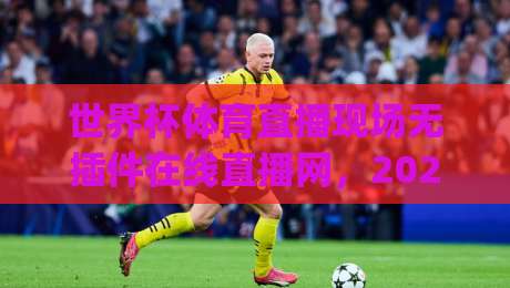 世界杯体育直播现场无插件在线直播网，2026观赛新体验！(世界杯体育直播现场无插件在线直播网)