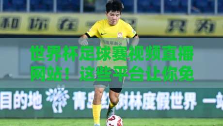 世界杯足球赛视频直播网站！这些平台让你免费看2026世界杯