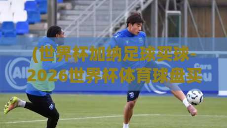 (世界杯加纳足球买球-2026世界杯体育球盘买球赛): 加纳队2026世界杯夺冠赔率深度解析与实战参考