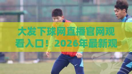 大发下球网直播官网观看入口！2026年最新观赛指南与实用技巧