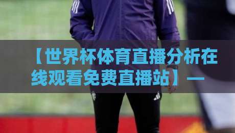 【世界杯体育直播分析在线观看免费直播站】——2026年球迷的观赛新选择