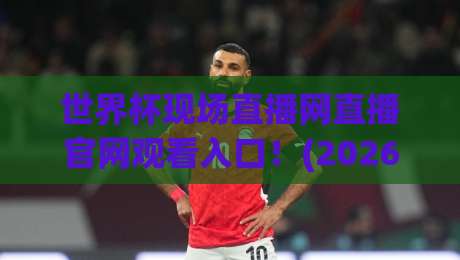 世界杯现场直播网直播官网观看入口！(2026世界杯直播) 官网入口与高清直播全攻略