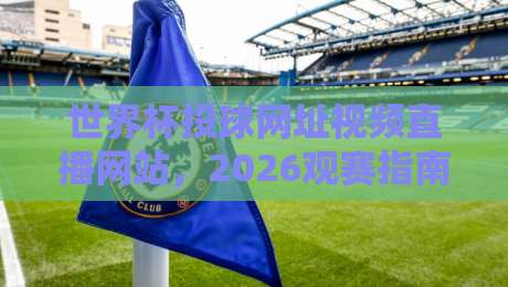 世界杯投球网址视频直播网站，2026观赛指南与避坑技巧