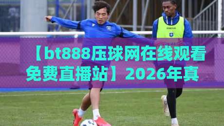 【bt888压球网在线观看免费直播站】2026年真实体验报告：值不值得花时间？
