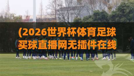 (2026世界杯体育足球买球直播网无插件在线直播网):这届世界杯看球新姿势,你猜怎么着? (2026世界杯体育足球买球直播网无插件在线直播网):这届世界杯看球新姿势,你猜怎么着?