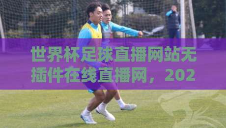 世界杯足球直播网站无插件在线直播网,2026球迷实测推荐(附避坑指南) 世界杯足球直播网站无插件在线直播网,2026球迷实测推荐(附避坑指南)