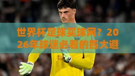 世界杯足球买球网？2026年球迷必看的四大避坑指南！
