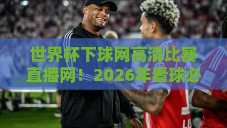世界杯下球网高清比赛直播网！2026年看球必备的五个理由