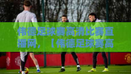 伟德足球赛高清比赛直播网,【伟德足球赛高清比赛直播网】体验沉浸式观赛新纪元 伟德足球赛高清比赛直播网,【伟德足球赛高清比赛直播网】体验沉浸式观赛新纪元