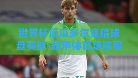 世界杯厄瓜多尔竞猜球盘买球-意甲体育足球买球：2026世界杯临近，厄瓜多尔盘口深度解析