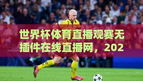 世界杯体育直播观赛无插件在线直播网,2026年球迷必备的观赛新姿势 世界杯体育直播观赛无插件在线直播网,2026年球迷必备的观赛新姿势