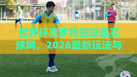 世界杯克罗地亚球盘买球网，2026最新玩法与避坑指南（世界杯克罗地亚球盘买球网）
