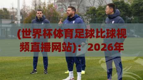 (世界杯体育足球比球视频直播网站)：2026年看球新姿势，这些平台你别错过！