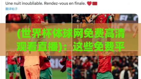 (世界杯体球网免费高清观看直播)：这些免费平台真的能看吗？2026年观赛避坑指南(世界杯体球网免费高清观看直播)