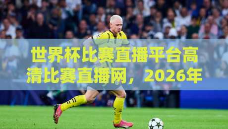 世界杯比赛直播平台高清比赛直播网,2026年看球首选(世界杯比赛直播平台高清比赛直播网)指南 世界杯比赛直播平台高清比赛直播网,2026年看球首选(世界杯比赛直播平台高清比赛直播网)指南