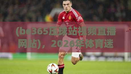 (be365压球站视频直播网站)，2026年体育迷必看的新体验