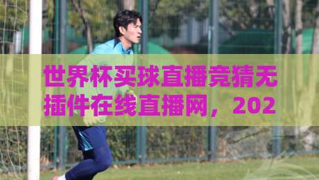 世界杯买球直播竞猜无插件在线直播网,2026年最新观赛与竞猜指南 世界杯买球直播竞猜无插件在线直播网,2026年最新观赛与竞猜指南