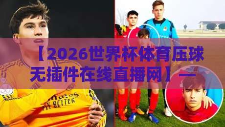 【2026世界杯体育压球无插件在线直播网】——球迷必看的观赛指南与避坑攻略