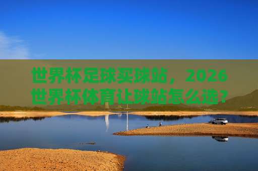 【世界杯波黑投球官方】: 2026世界杯波黑队投球战术深度解析