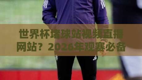 世界杯堵球站视频直播网站？2026年观赛必备指南与避坑攻略大全，资深球迷教你如何选择！