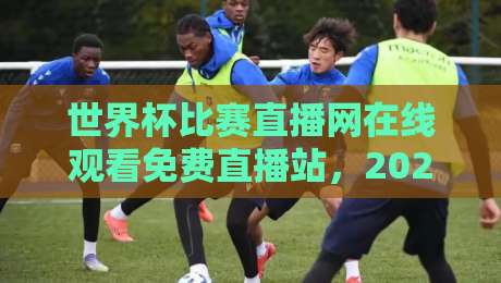 世界杯比赛直播网在线观看免费直播站，2026年球迷的终极观赛指南