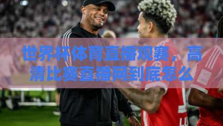 世界杯体育直播观赛,高清比赛直播网到底怎么选?2026看球指南 世界杯体育直播观赛,高清比赛直播网到底怎么选?2026看球指南