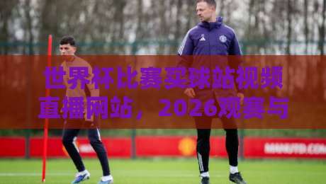 世界杯比赛买球站视频直播网站，2026观赛与投注避坑指南！