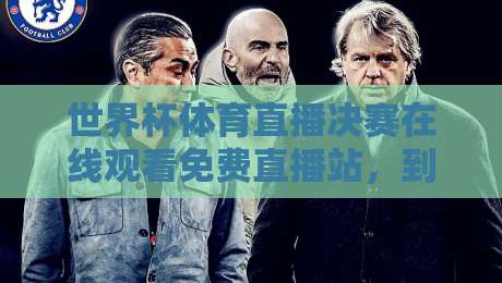 世界杯体育直播决赛在线观看免费直播站,到底该怎么选? 世界杯体育直播决赛在线观看免费直播站,到底该怎么选?