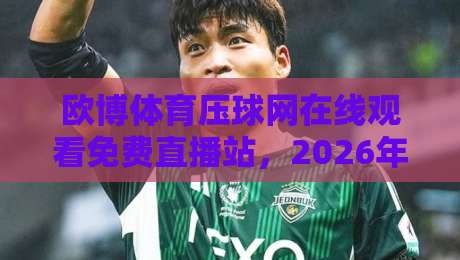 欧博体育压球网在线观看免费直播站，2026年老球迷实测后的几点大实话