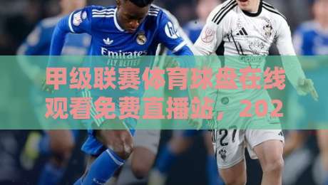 甲级联赛体育球盘在线观看免费直播站，2026年球迷还能这样白嫖高清赛事？