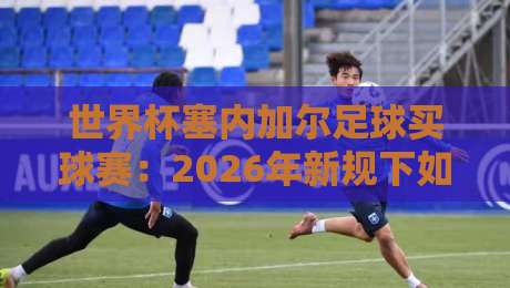 世界杯塞内加尔足球买球赛：2026年新规下如何看懂门道？