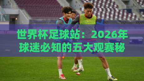 世界杯足球站：2026年球迷必知的五大观赛秘籍与独家内幕