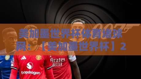美加墨世界杯体育堵球网：【美加墨世界杯】2026年观赛必备指南+实用技巧