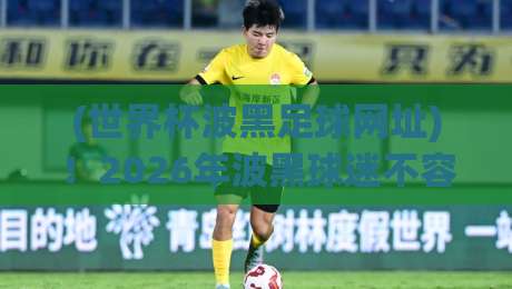 (世界杯波黑足球网址)！2026年波黑球迷不容错过的观赛平台与资源大全