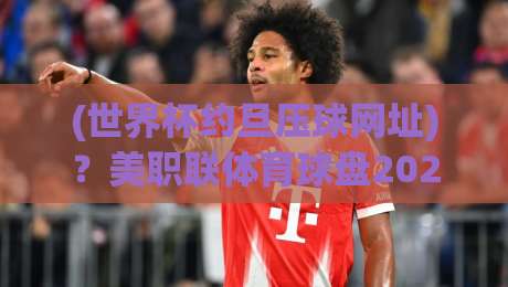 (世界杯约旦压球网址)？美职联体育球盘2026赛季观赛与投注实战指南