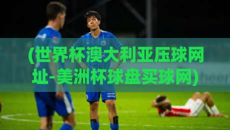 (世界杯澳大利亚压球网址-美洲杯球盘买球网)：2026年球迷必看的安全找球指南