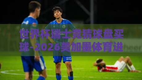 世界杯瑞士竞猜球盘买球-2026美加墨体育进球:资深玩家的实战策略与避坑指南 世界杯瑞士竞猜球盘买球-2026美加墨体育进球:资深玩家的实战策略与避坑指南