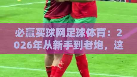 必赢买球网足球体育：2026年从新手到老炮，这份观赛手册你一定要收藏