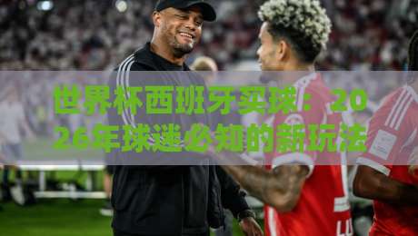 世界杯西班牙买球：2026年球迷必知的新玩法与避坑指南