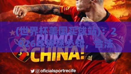 (世界杯美国买球站)：2026年球迷必知，合法渠道与防坑指南【世界杯美国买球站】