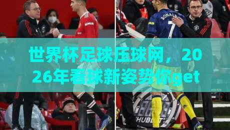 世界杯足球压球网，2026年看球新姿势你get了吗？