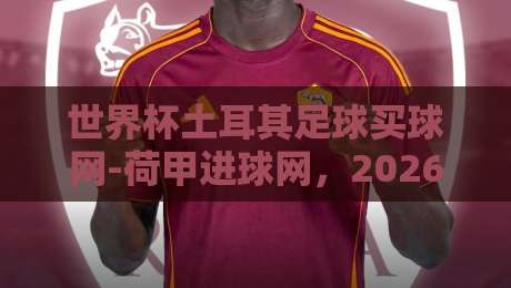 世界杯土耳其足球买球网-荷甲进球网，2026年球迷必看的三大实战技巧