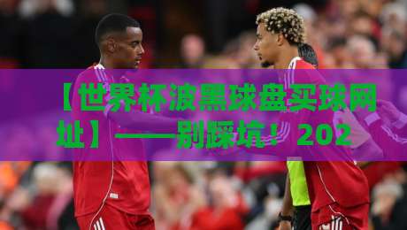 【世界杯波黑球盘买球网址】——别踩坑！2026年世界杯期间这些陷阱你得知道