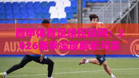 西甲体育足球压球网：2026赛季深度解析与实用指南
