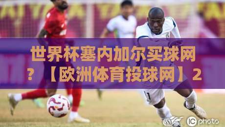 世界杯塞内加尔买球网？【欧洲体育投球网】2026年观赛与投注新趋势深度解析